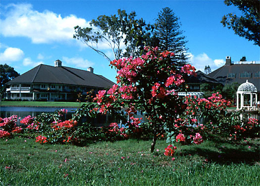 The Lodge at Koele